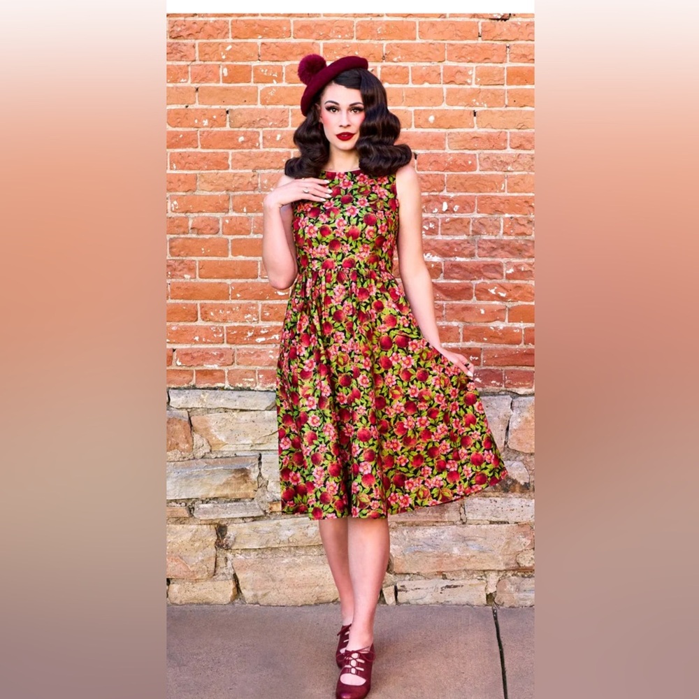 Retrolicious Elizabeth Swing Floral Button-Front Mini Dress size XS - Picture 2 of 12